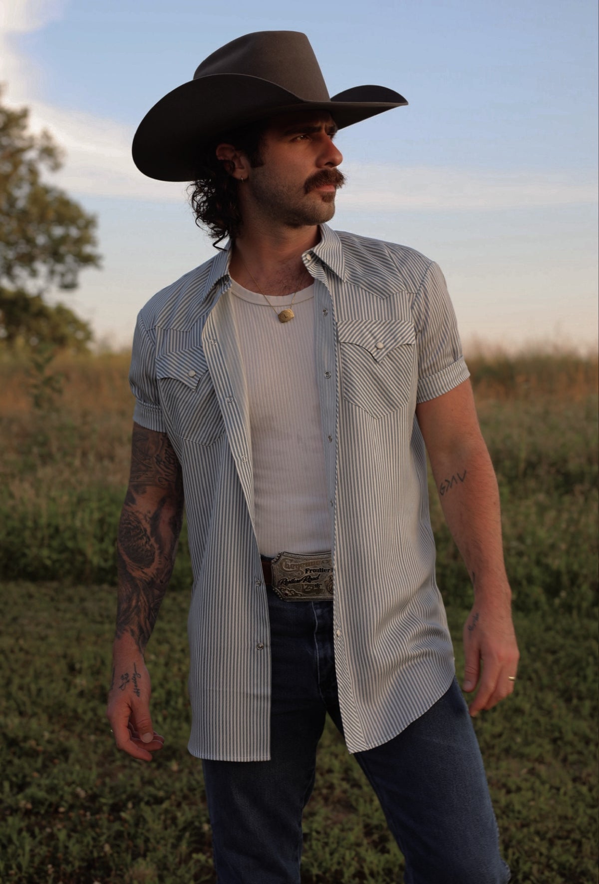 H Bar C Newport gray stripe short sleeve pearl snap shirt styled with jeans and a black cowboy hat outdoors.